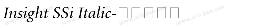 Insight SSi Italic字体转换